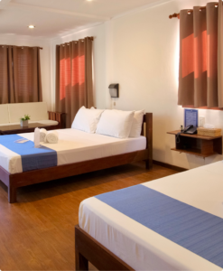 palm beach accommodation